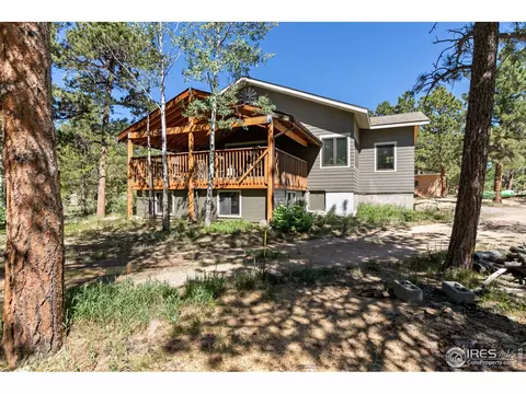 727 Overland Dr, Ward, CO 80481 photo 21