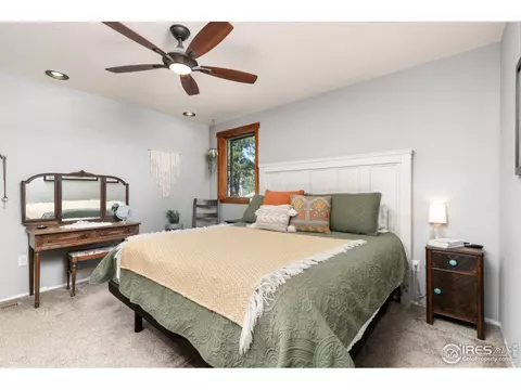 727 Overland Dr, Ward, CO 80481 photo 28