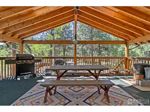 727 Overland Dr, Ward, CO 80481 photo 7