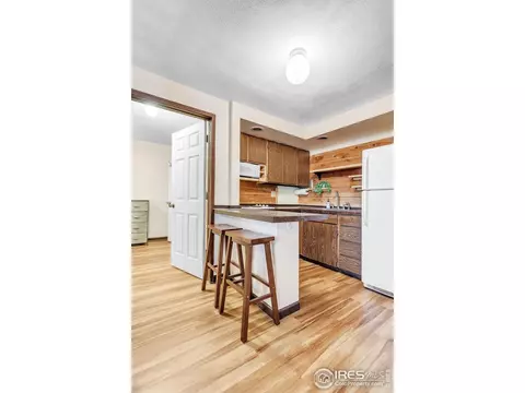 287 Brook Cir, Boulder, CO 80302 photo 28
