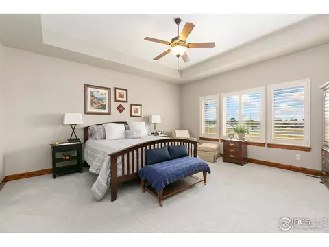 6701 Clovis Ct, Timnath, CO 80547 photo 14