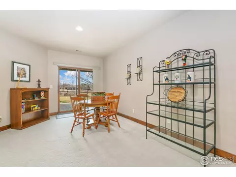 6701 Clovis Ct, Timnath, CO 80547 photo 21