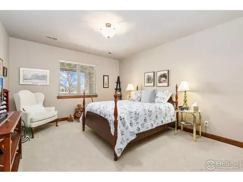 6701 Clovis Ct, Timnath, CO 80547 photo 23