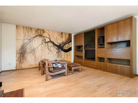 337 Eagle Ct, Longmont, CO 80504 photo 6
