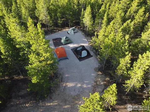 156 Penobscot Ct, Red Feather Lakes, CO 80545