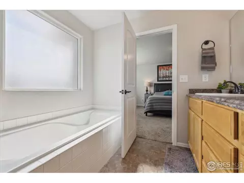 623 Gore Range Dr, Windsor, CO 80550 photo 15