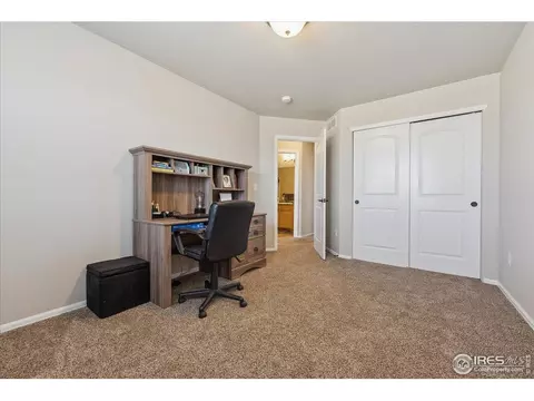 623 Gore Range Dr, Windsor, CO 80550 photo 25