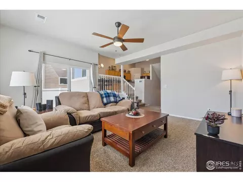 623 Gore Range Dr, Windsor, CO 80550 photo 18