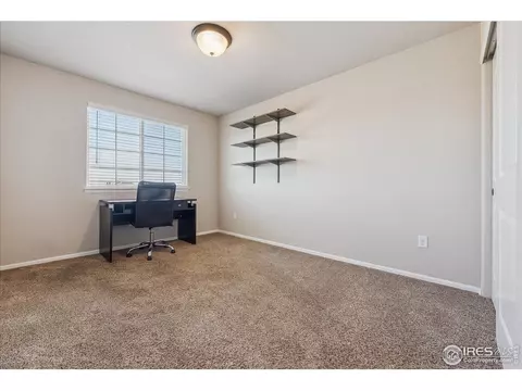623 Gore Range Dr, Windsor, CO 80550 photo 23