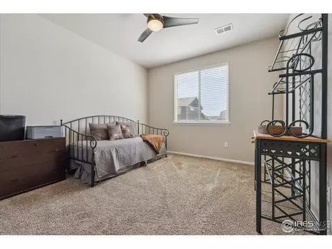 623 Gore Range Dr, Windsor, CO 80550 photo 21