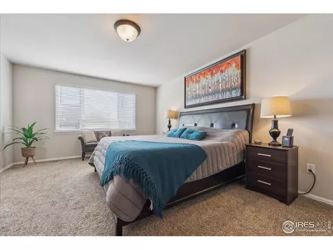 623 Gore Range Dr, Windsor, CO 80550 photo 13