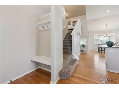 623 Gore Range Dr, Windsor, CO 80550 photo 9