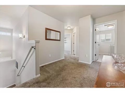 623 Gore Range Dr, Windsor, CO 80550 photo 22