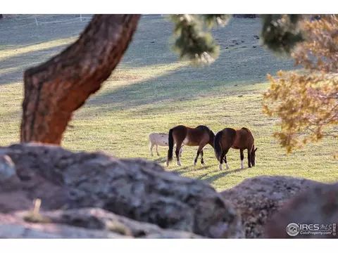 1740 Spring Gulch Dr, Lyons, CO 80540 photo 26