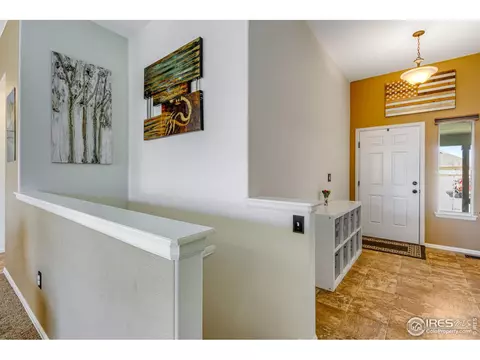 541 El Diente Ave, Severance, CO 80550 photo 8
