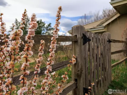 7940 Valmont Rd, Boulder, CO 80301 photo 25