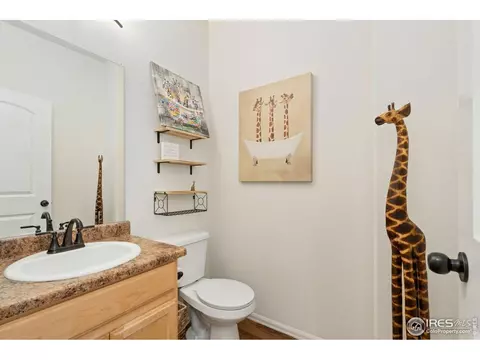 1109 Tur St, Severance, CO 80550 photo 16