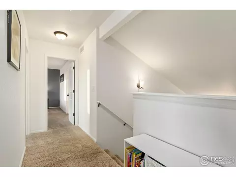 1109 Tur St, Severance, CO 80550 photo 19