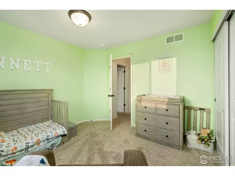 1109 Tur St, Severance, CO 80550 photo 24