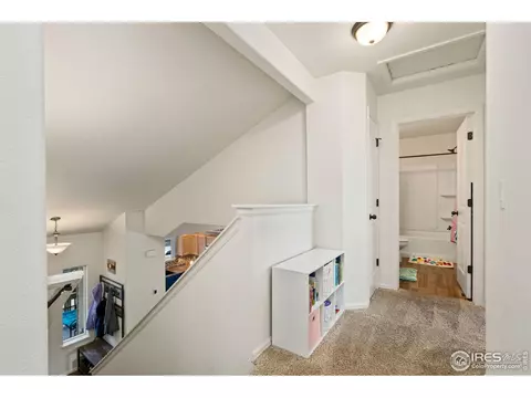 1109 Tur St, Severance, CO 80550 photo 18
