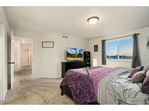 1109 Tur St, Severance, CO 80550 photo 21