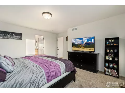 1109 Tur St, Severance, CO 80550 photo 22