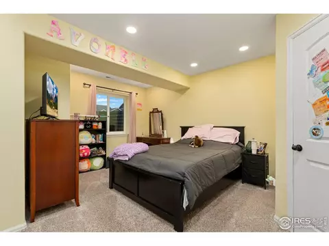 1109 Tur St, Severance, CO 80550 photo 27