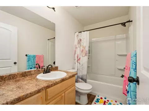 1109 Tur St, Severance, CO 80550 photo 26