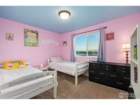 1109 Tur St, Severance, CO 80550 photo 25