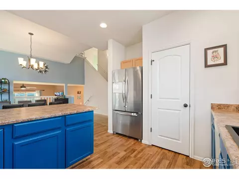 1109 Tur St, Severance, CO 80550 photo 11