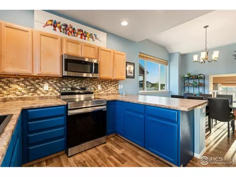 1109 Tur St, Severance, CO 80550 photo 10