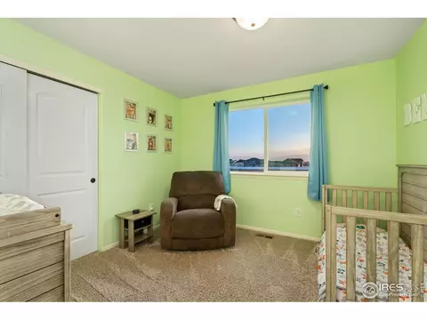 1109 Tur St, Severance, CO 80550 photo 23