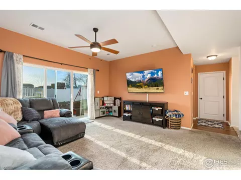 1109 Tur St, Severance, CO 80550 photo 14
