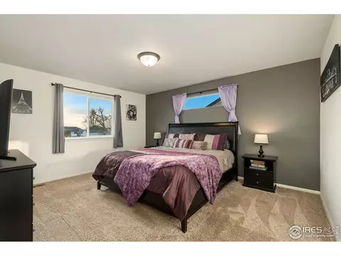 1109 Tur St, Severance, CO 80550 photo 20