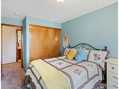 5551 E 130th Dr, Thornton, CO 80241 photo 24