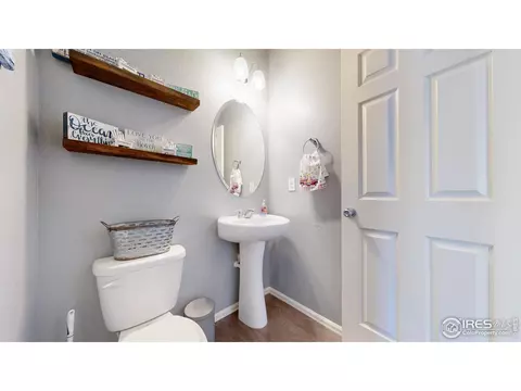 2267 Stonefish Dr, Windsor, CO 80550 photo 17
