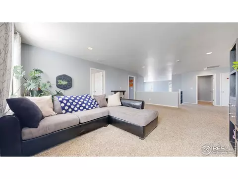 2267 Stonefish Dr, Windsor, CO 80550 photo 20