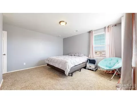 2267 Stonefish Dr, Windsor, CO 80550 photo 31