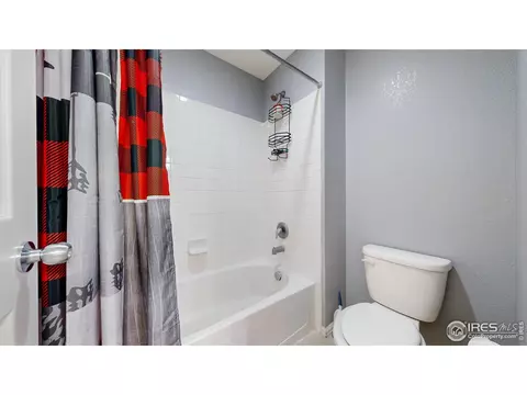 2267 Stonefish Dr, Windsor, CO 80550 photo 28
