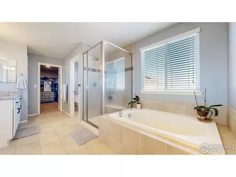 2267 Stonefish Dr, Windsor, CO 80550 photo 24