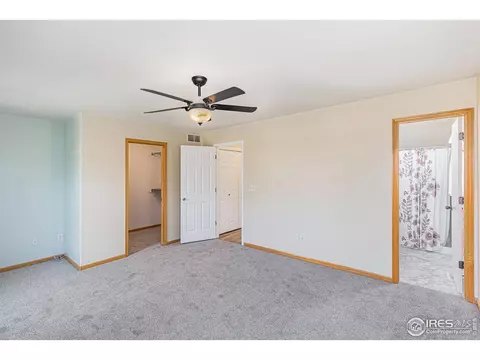 798 Durum St, Windsor, CO 80550 photo 16