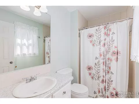 798 Durum St, Windsor, CO 80550 photo 17