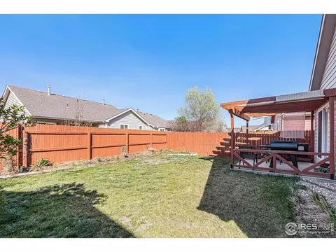 798 Durum St, Windsor, CO 80550 photo 29