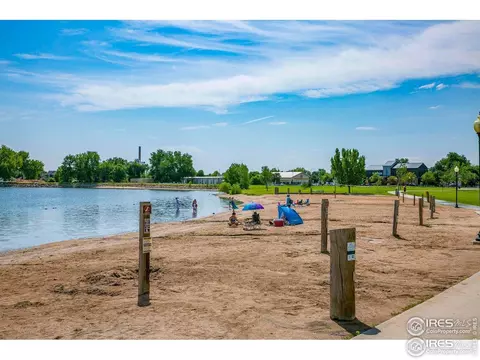 798 Durum St, Windsor, CO 80550 photo 35