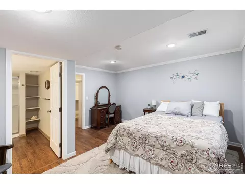 798 Durum St, Windsor, CO 80550 photo 26