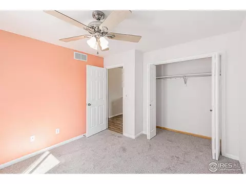 798 Durum St, Windsor, CO 80550 photo 19