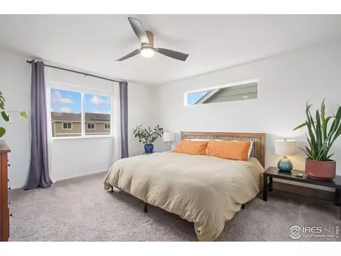 1662 Thrive Dr, Windsor, CO 80550 photo 15
