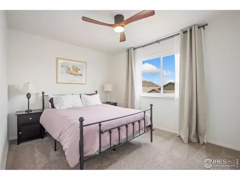 1662 Thrive Dr, Windsor, CO 80550 photo 13