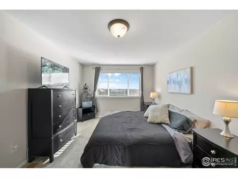 1059 Mt Oxford Ave, Severance, CO 80550 photo 16