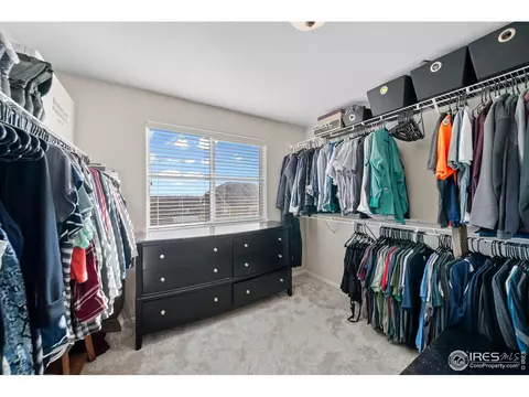 1059 Mt Oxford Ave, Severance, CO 80550 photo 21